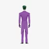 Figura alla moda della serie DC