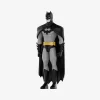 Figura alla moda della serie DC