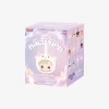 HACIPUPU The Constellation Series – Confezione cieca in peluche in vinile