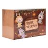 Labubu The Monsters Timber Workshop Ciondolo “Playing on the Swing” Pop Land Exclusive Sealed Case (6 Blind Box)